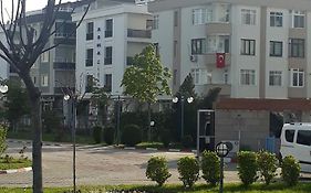 Arma Lıfe
